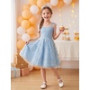 image:imageIDOPIP Embroidery Flower Girl Lace Dess for Kids Party Wedding Bridesmaid Tulle Dresses Princess Pageant Birthday Floral GownLight Blue