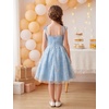 image:imageIDOPIP Embroidery Flower Girl Lace Dess for Kids Party Wedding Bridesmaid Tulle Dresses Princess Pageant Birthday Floral GownLight Blue
