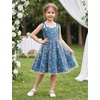 image:imageIDOPIP Embroidery Flower Girl Lace Dess for Kids Party Wedding Bridesmaid Tulle Dresses Princess Pageant Birthday Floral GownTeal Blue