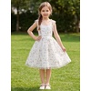 image:imageIDOPIP Embroidery Flower Girl Lace Dess for Kids Party Wedding Bridesmaid Tulle Dresses Princess Pageant Birthday Floral GownWhite