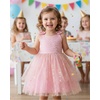 image:imageIDOPIP Toddler Princess Dress Fairy Birthday Tulle Glitter Dresses for Baby Girl Bow Tie Strap Tutu Gown for Party WeddingPink