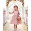 image:imageIDOPIP Toddler Princess Dress Fairy Birthday Tulle Glitter Dresses for Baby Girl Bow Tie Strap Tutu Gown for Party WeddingPink