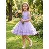 image:imageIDOPIP Toddler Girls Birthday Dress Wedding Party Pageant Dress 16 Years  Wedding Flower Girl Dress Sleeveless Pearl Halter Glitters Flounce Tulle Tutu Dress Girls Formal Dress Party Ball GownPurple