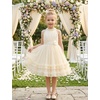 image:imageIDOPIP Toddler Girls Birthday Dress Wedding Party Pageant Dress 16 Years  Wedding Flower Girl Dress Sleeveless Pearl Halter Glitters Flounce Tulle Tutu Dress Girls Formal Dress Party Ball GownChampagne