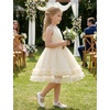 image:imageIDOPIP Toddler Girls Birthday Dress Wedding Party Pageant Dress 16 Years  Wedding Flower Girl Dress Sleeveless Pearl Halter Glitters Flounce Tulle Tutu Dress Girls Formal Dress Party Ball GownChampagne