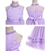 image:imageIDOPIP Toddler Girls Birthday Dress Wedding Party Pageant Dress 16 Years  Wedding Flower Girl Dress Sleeveless Pearl Halter Glitters Flounce Tulle Tutu Dress Girls Formal Dress Party Ball GownPurple