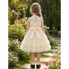 image:imageIDOPIP Toddler Girls Birthday Dress Wedding Party Pageant Dress 16 Years  Wedding Flower Girl Dress Sleeveless Pearl Halter Glitters Flounce Tulle Tutu Dress Girls Formal Dress Party Ball GownChampagne