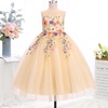 image:imageIDOPIP Embroidery Flower Girl Lace Dress for Kid Wedding Pageant Tulle Gown  Little Big Girls Formal Party First Communion Dresses Toddler Birthday Princess Bridesmaid Backless Bowknot Maxi Tulle GownApricot