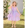 image:imageIDOPIP Toddler Girls Butterfly Birthday Dress Tulle Flower Girl Dress 16T  Butterfly Glitter Handkerchief Tulle Dress Embroidery Floral Lace Princess Ball Gown for Wedding Pageant Formal Photo PartyRainbow Purple