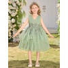 image:imageIDOPIP Toddler Girls Butterfly Birthday Dress Tulle Flower Girl Dress 16T  Butterfly Glitter Handkerchief Tulle Dress Embroidery Floral Lace Princess Ball Gown for Wedding Pageant Formal Photo PartySage Green
