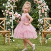 image:imageIDOPIP Toddler Girls Butterfly Birthday Dress Tulle Flower Girl Dress 16T  Butterfly Glitter Handkerchief Tulle Dress Embroidery Floral Lace Princess Ball Gown for Wedding Pageant Formal Photo PartyDusty Pink