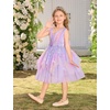 image:imageIDOPIP Toddler Girls Butterfly Birthday Dress Tulle Flower Girl Dress 16T  Butterfly Glitter Handkerchief Tulle Dress Embroidery Floral Lace Princess Ball Gown for Wedding Pageant Formal Photo PartyRainbow Purple