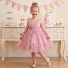 image:imageIDOPIP Toddler Girls Butterfly Birthday Dress Tulle Flower Girl Dress 16T  Butterfly Glitter Handkerchief Tulle Dress Embroidery Floral Lace Princess Ball Gown for Wedding Pageant Formal Photo PartyDusty Pink