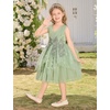 image:imageIDOPIP Toddler Girls Butterfly Birthday Dress Tulle Flower Girl Dress 16T  Butterfly Glitter Handkerchief Tulle Dress Embroidery Floral Lace Princess Ball Gown for Wedding Pageant Formal Photo PartySage Green