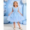 image:imageIDOPIP Toddler Girls Butterfly Birthday Dress Tulle Flower Girl Dress 16T  Butterfly Glitter Handkerchief Tulle Dress Embroidery Floral Lace Princess Ball Gown for Wedding Pageant Formal Photo PartyBlue