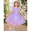 image:imageIDOPIP Toddler Girls Tulle Birthday Dress Floral Embroidered Princess Pageant Summer Smocked Dresses for Party Wedding 16TRainbow Purple
