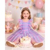 image:imageIDOPIP Toddler Girls Tulle Birthday Dress Floral Embroidered Princess Pageant Summer Smocked Dresses for Party Wedding 16TRainbow Purple