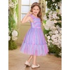 image:imageIDOPIP Toddler Girls Tulle Birthday Dress Floral Embroidered Princess Pageant Summer Smocked Dresses for Party Wedding 16TRainbow Purple