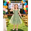 image:imageIDOPIP Toddler Girls Tulle Birthday Dress Floral Embroidered Princess Pageant Summer Smocked Dresses for Party Wedding 16TSage Green Floral