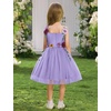 image:imageIDOPIP Toddler Baby Embroidery Flower Girl Dress Tulle Pageant Wedding Gown  for Kids Wedding Bridesmaid Formal Party Prom Gown Little Princess First Communion Birthday Graduation Floral Tulle DressPurple