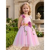 image:imageIDOPIP Toddler Baby Embroidery Flower Girl Dress Tulle Pageant Wedding Gown  for Kids Wedding Bridesmaid Formal Party Prom Gown Little Princess First Communion Birthday Graduation Floral Tulle DressRainbow Pink