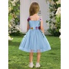 image:imageIDOPIP Toddler Baby Embroidery Flower Girl Dress Tulle Pageant Wedding Gown  for Kids Wedding Bridesmaid Formal Party Prom Gown Little Princess First Communion Birthday Graduation Floral Tulle DressBlue