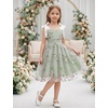 image:imageIDOPIP Embroidery Flower Girl Lace Dress for Kids Straps Floral Tulle GownGreen