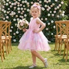 image:imageIDOPIP Toddler Girls Butterfly Birthday Dress Tulle Flower Girl Dress 16TRainbow Pink