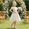 image:imageIDOPIP Kids Girls Short Sleeve Embroidery Floral Lace Tulle Dress 511YApricot