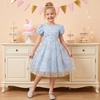 image:imageIDOPIP Kids Girls Short Sleeve Embroidery Floral Lace Tulle Dress 511YBlue