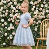 image:imageIDOPIP Kids Girls Short Sleeve Embroidery Floral Lace Tulle Dress 511YBlue