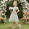 image:imageIDOPIP Kids Girls Short Sleeve Embroidery Floral Lace Tulle Dress 511YGreen
