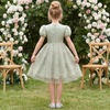 image:imageIDOPIP Kids Girls Short Sleeve Embroidery Floral Lace Tulle Dress 511YGreen