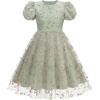 image:imageIDOPIP Kids Girls Short Sleeve Embroidery Floral Lace Tulle Dress 511YGreen