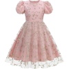 image:imageIDOPIP Kids Girls Short Sleeve Embroidery Floral Lace Tulle Dress 511YPink
