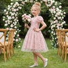 image:imageIDOPIP Kids Girls Short Sleeve Embroidery Floral Lace Tulle Dress 511YPink