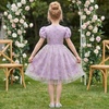 image:imageIDOPIP Kids Girls Short Sleeve Embroidery Floral Lace Tulle Dress 511YPurple
