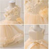 image:imageIDOPIP Toddler Flower Girl Lace Dress Asymmetric Tiered Tulle Gown 3M6TChampagne
