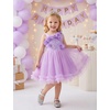 image:imageIDOPIP Toddler Flower Girl Lace Dress Asymmetric Tiered Tulle Gown 3M6TPurple