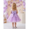 image:imageIDOPIP Toddler Flower Girl Lace Dress Asymmetric Tiered Tulle Gown 3M6TPurple