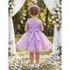 image:imageIDOPIP Toddler Flower Girl Lace Dress Asymmetric Tiered Tulle Gown 3M6TRainbow Purple
