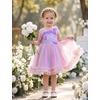 image:imageIDOPIP Toddler Flower Girl Lace Dress Asymmetric Tiered Tulle Gown 3M6TRainbow Purple