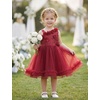 image:imageIDOPIP Toddler Flower Girl Lace Dress Asymmetric Tiered Tulle Gown 3M6TRed