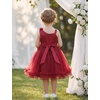 image:imageIDOPIP Toddler Flower Girl Lace Dress Asymmetric Tiered Tulle Gown 3M6TRed