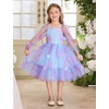 image:imageIDOPIP Toddler Baby Girls Dresses Long Puff Sleeve Pageant Mesh Tutu Dress Infant Wedding Baptism Photo Shoot Tulle DressGradient Blue