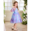 image:imageIDOPIP Toddler Baby Girls Dresses Long Puff Sleeve Pageant Mesh Tutu Dress Infant Wedding Baptism Photo Shoot Tulle DressGradient Blue