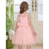 image:imageIDOPIP Toddler Baby Girls Dresses Long Puff Sleeve Pageant Mesh Tutu Dress Infant Wedding Baptism Photo Shoot Tulle DressPink  Stars
