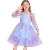 image:imageIDOPIP Toddler Baby Girls Dresses Long Puff Sleeve Pageant Mesh Tutu Dress Infant Wedding Baptism Photo Shoot Tulle DressGradient Blue