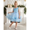 image:imageIDOPIP Toddler Sequin Flower Girl Dress for Wedding Birthday Party PageantBlue