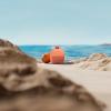 image:imageBose SoundLink Micro Portable Bluetooth Speaker 2nd Gen Wireless Outdoor Speaker Up to 12 Hours Battery Life Waterproof and Dustproof Sunset Peach  Limited Edition ColorSunset Peach